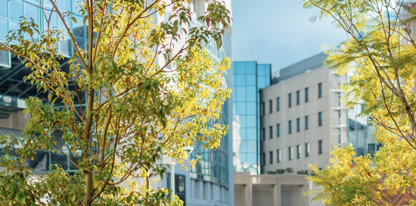 image arenas quartier affaires nice